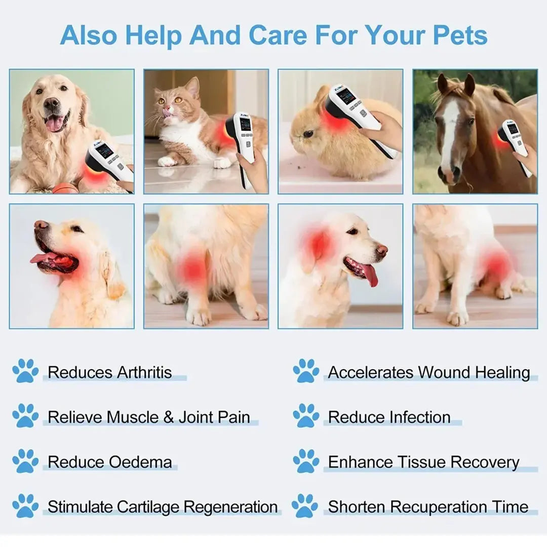 TheraPawz - Laser Therapy For Your Dog